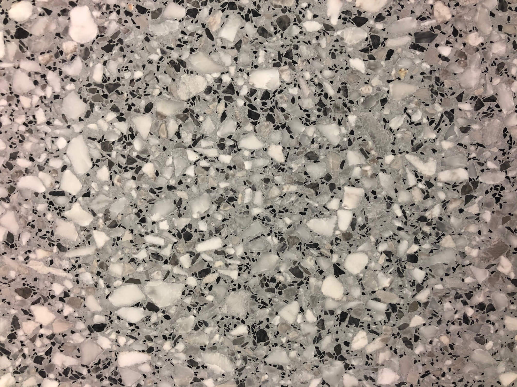 Terrazzo: Grey Granite